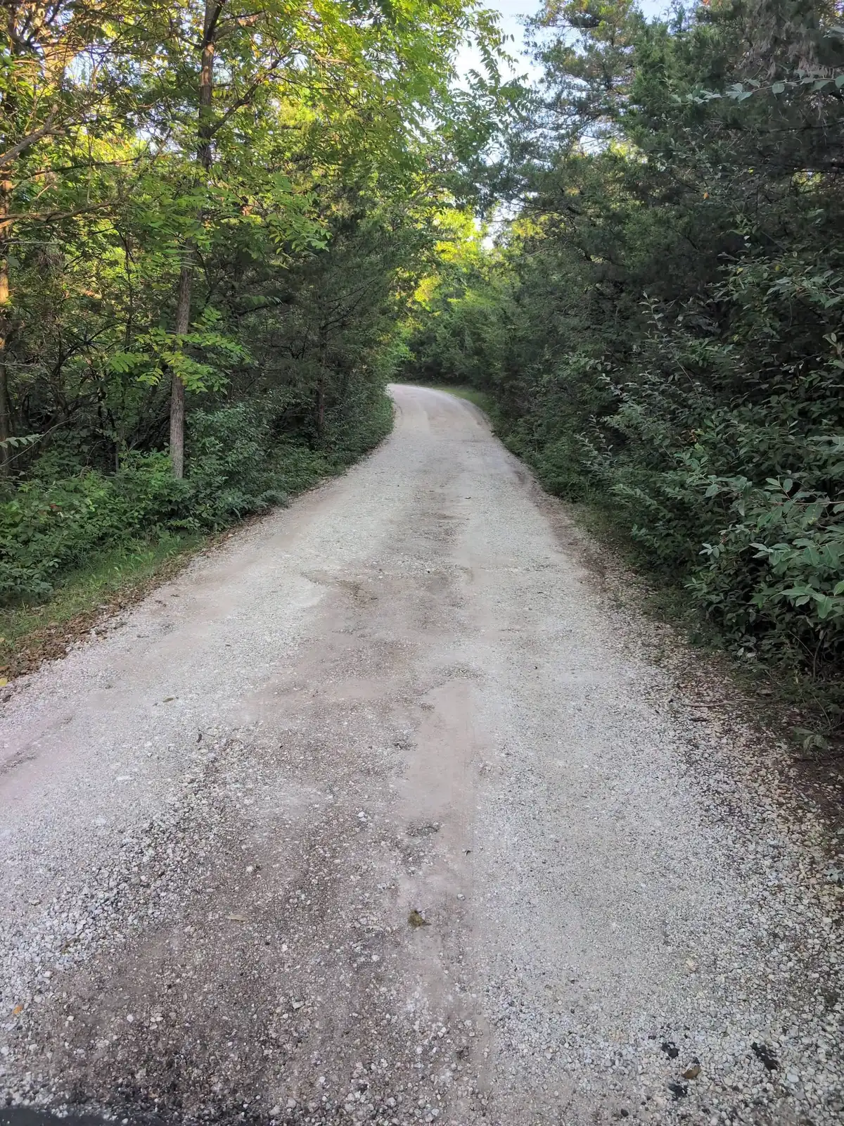 A rutted gravel private lane running through heavy woods before work started.